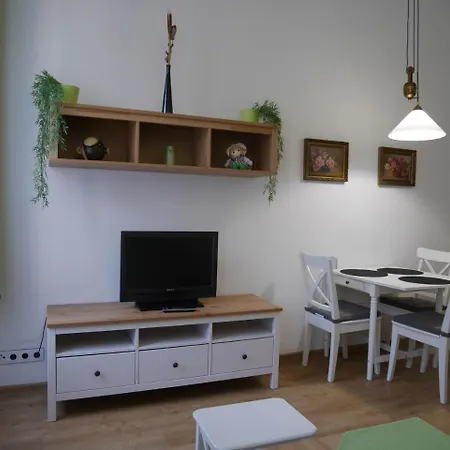 Apartment Moskevska 40 *